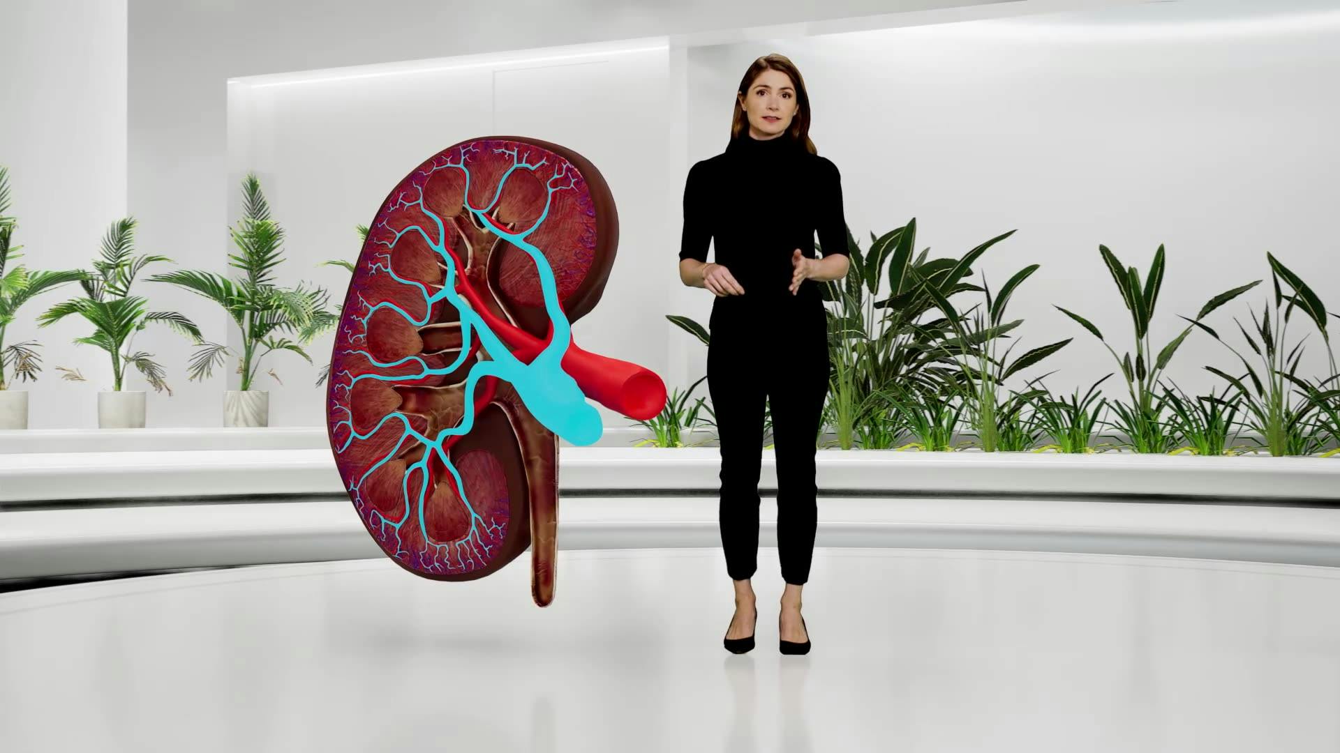 Presentación con VR para interactuar con temas médicos